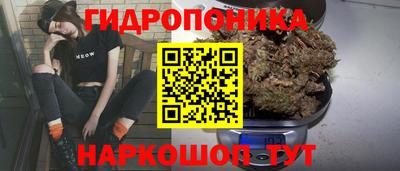 ПСИЛОЦИБИНОВЫЕ ГРИБЫ Будённовск